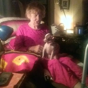 Meet your Posher, Shelly